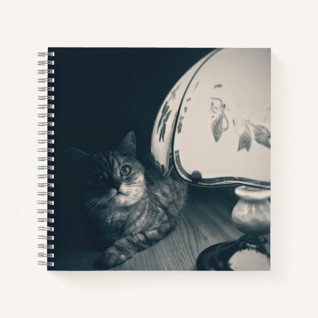 Cat and Lamp Noir Style Photograph Notebook (Front)
