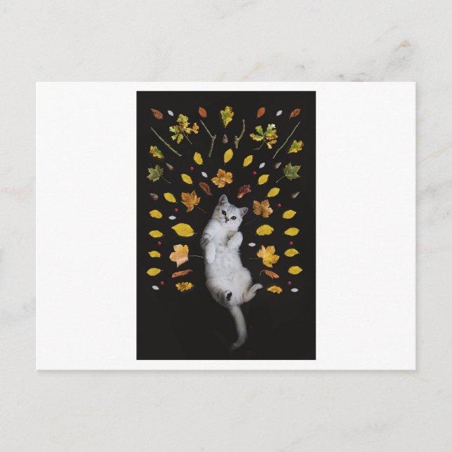 CAT AND LEAVES PHOTOGRAPHIC POSTCARD (Front)