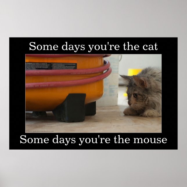 Cat and Mouse Demotivational Poster (Front)