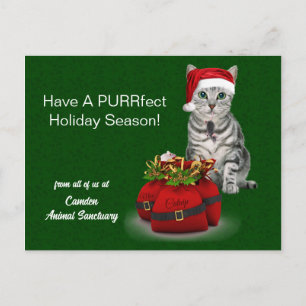 Cat and Mouse Funny Christmas Holiday Postcard