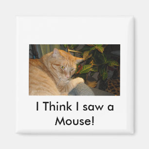 Cat and Mouse Humour Magnet