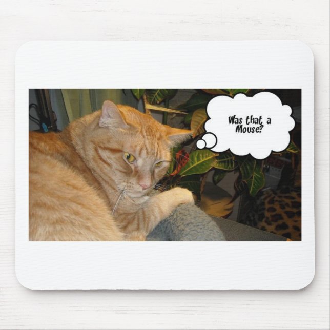 Cat and Mouse Humour Mat (Front)