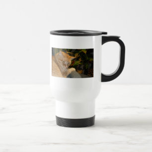 Cat and Mouse Humour Travel Mug