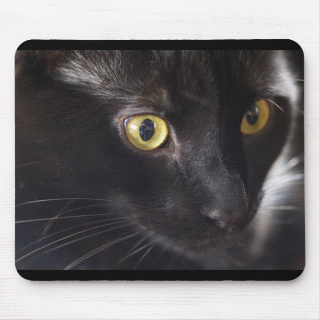 Cat and Mouse Mat (Front)