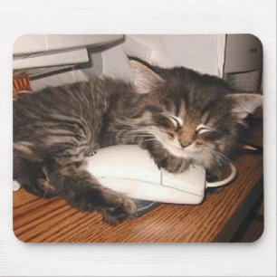 Cat and Mouse Mat