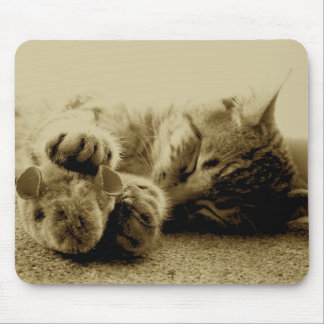 Cat and Mouse Mouse Mat