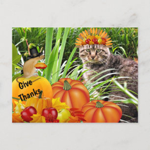 Cat and Mouse Thanksgiving / Give Thanks Collage Postcard