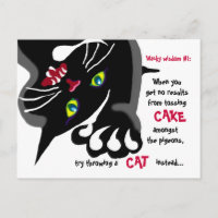 Cat and Pigeons - whacky wisdom