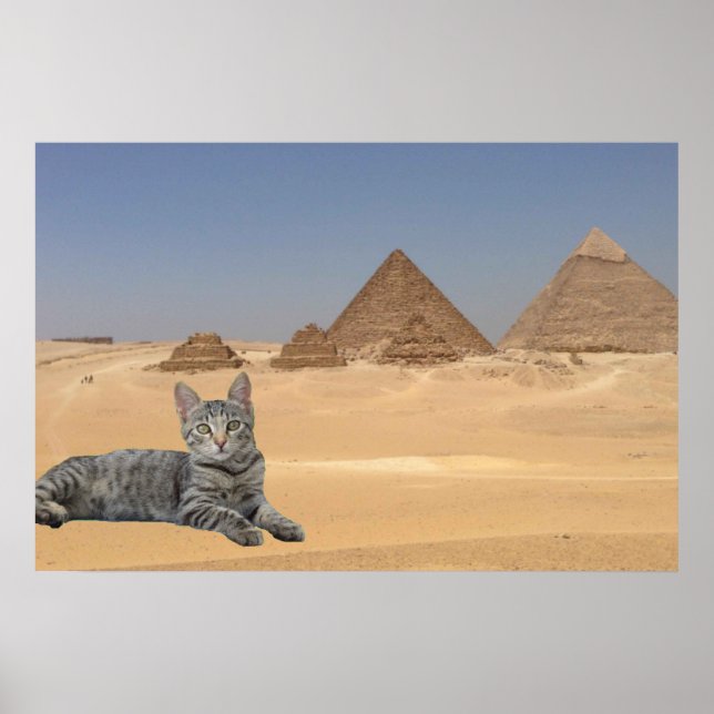Cat and Pyramid. Poster (Front)