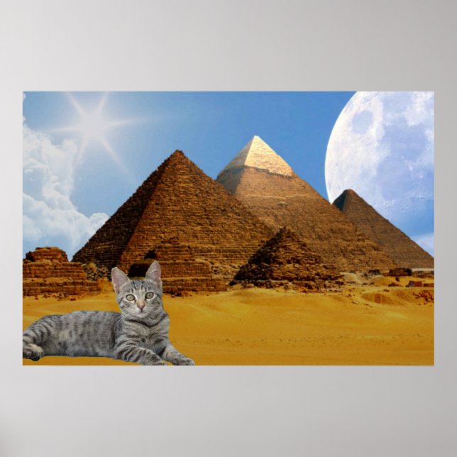 Cat and Pyramid. Poster (Front)
