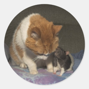 cat and rat classic round sticker