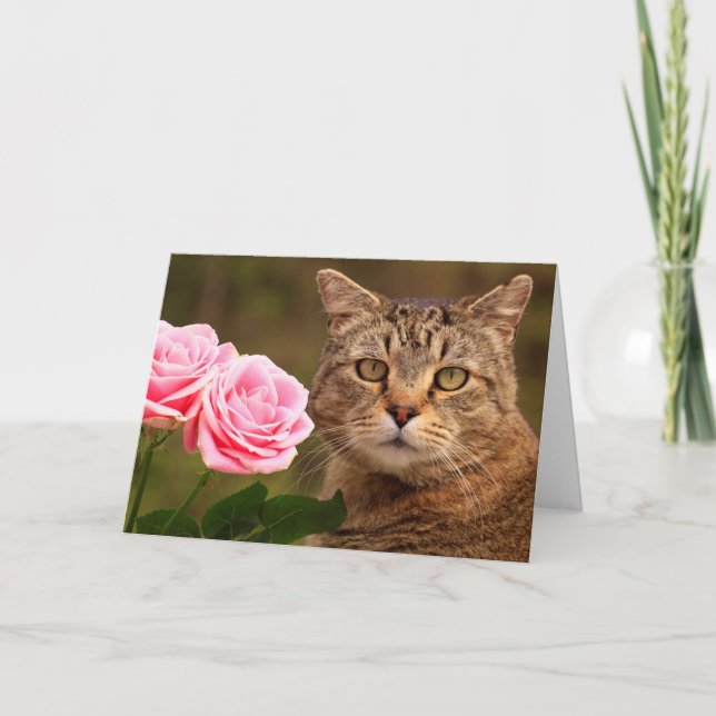 Cat And Roses Get Well Card (Front)
