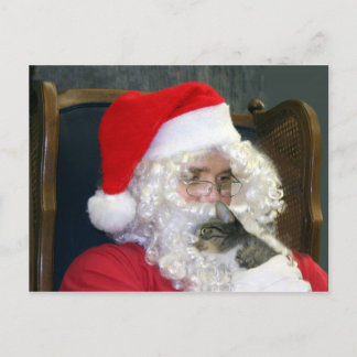 Cat and Santa Claus Holiday Postcard