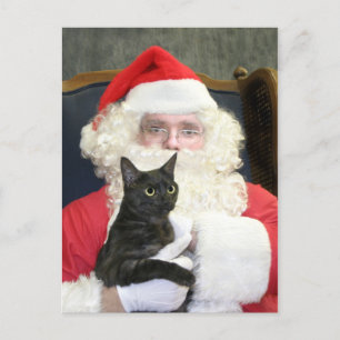 Cat and Santa Claus Holiday Postcard