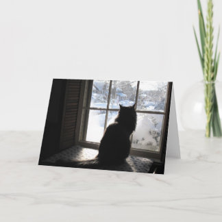 Cat and Silence Card