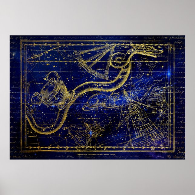 cat and snake constellation poster (Front)