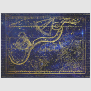 cat and snake constellation tissue paper
