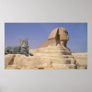 Cat and Sphinx. Poster