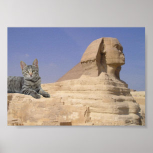 Cat and Sphinx. Poster