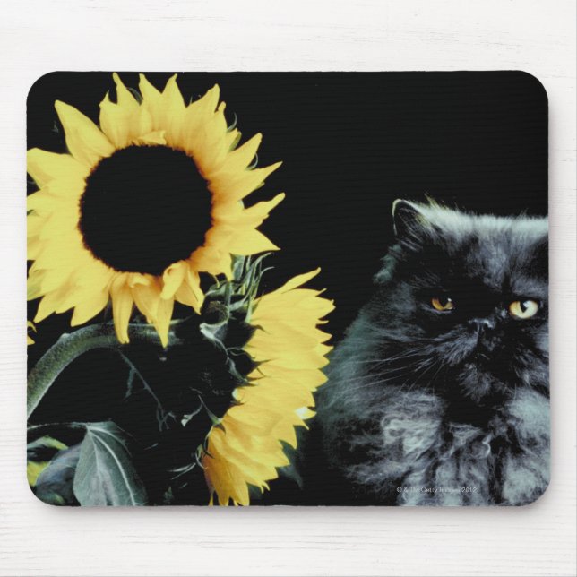 Cat and Sunflower Mouse Mat (Front)