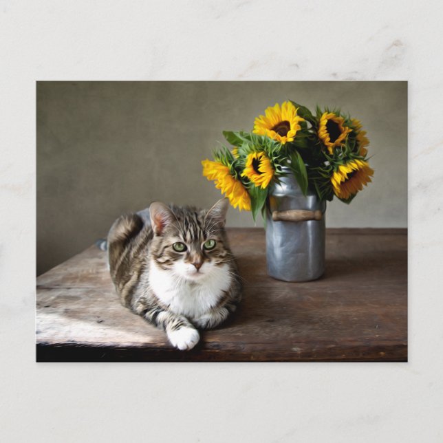 Cat and Sunflowers Postcard (Front)