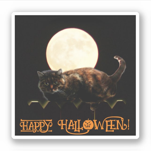 Cat and the Full Moon (Front)