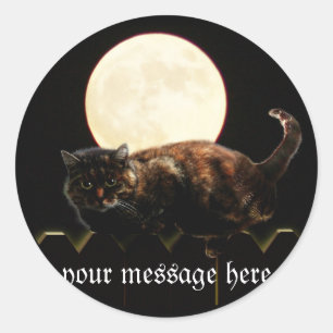 Cat and the Full Moon Classic Round Sticker