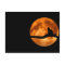 Cat and the moon