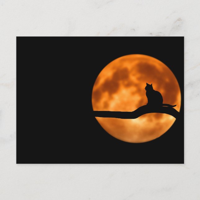 Cat and the moon postcard (Front)