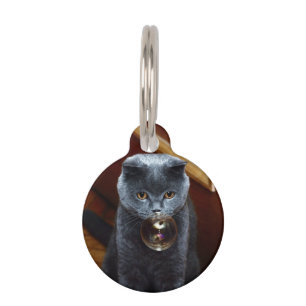 Cat and the soap bubble pet tag