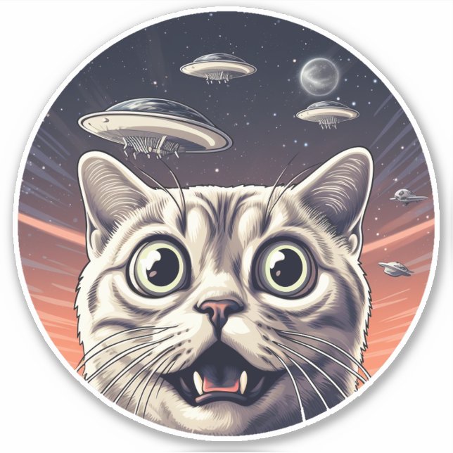 Cat and UFOs  (Front)