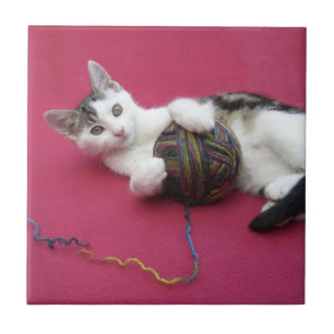 Cat and Yarn Tile