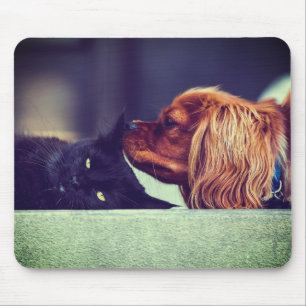 Cat, Animal, Kitten Mouse Mat