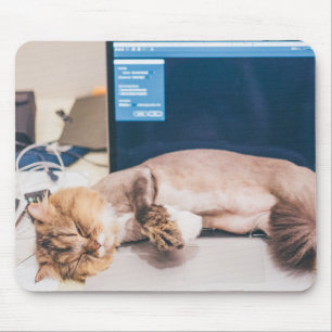 Cat, Animal, Pet Mouse Mat