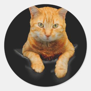 Cat Animals Creative Cat Motif Bag Cat Classic Round Sticker