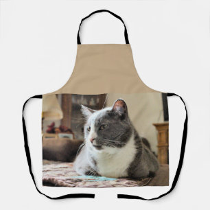Cat Apron