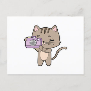 Cat as Photographer with Camera Postcard