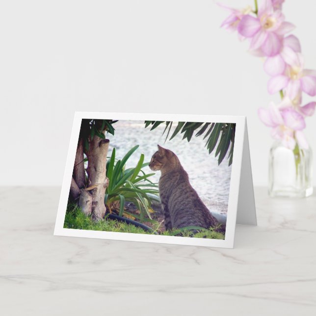 Cat at Beach Portrait Card (Orchid)
