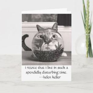 cat at fish bowl, i rejoice that i live in...teams card