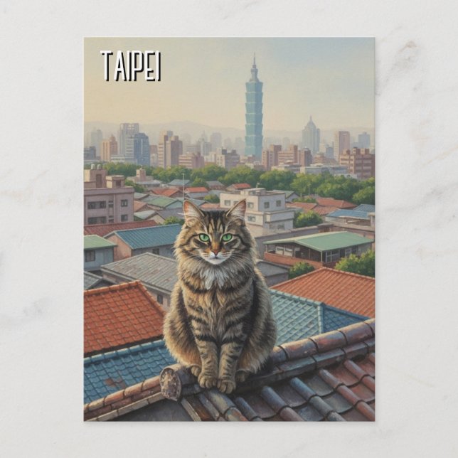 Cat at Taipei 101 Taiwan Postcard (Front)