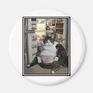 CAT AT THE FRIDGE MAGNET