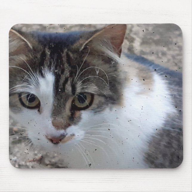 Cat at the window mouse mat (Front)