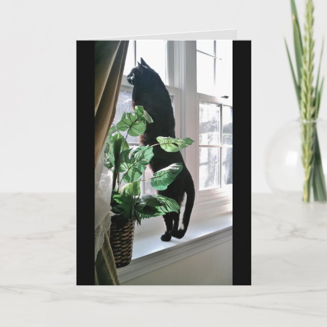 Cat at Window Note Card (Front)