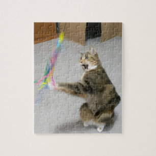 Cat attacks the teaser toy puzzle