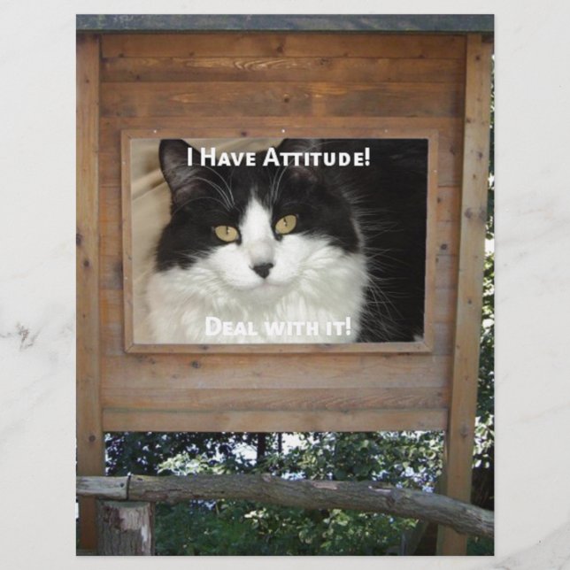 Cat Attitude (Front)