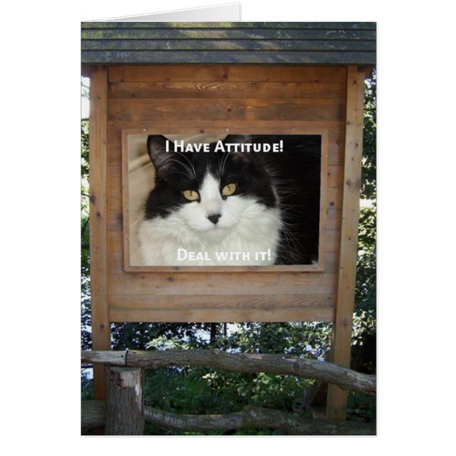Cat Attitude (Front)