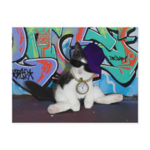 Cat Attitude.......Cat-itude!