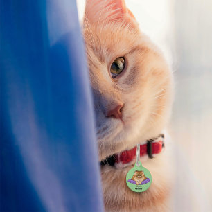 Cat Attitude Funny Pet Tag