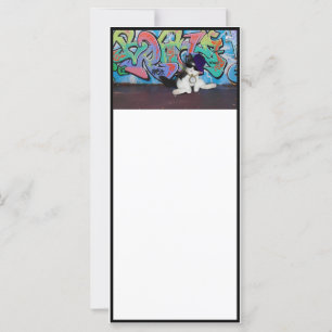 Cat Attitude.....Kitten and Graffiti Wall