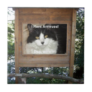 Cat Attitude Tile